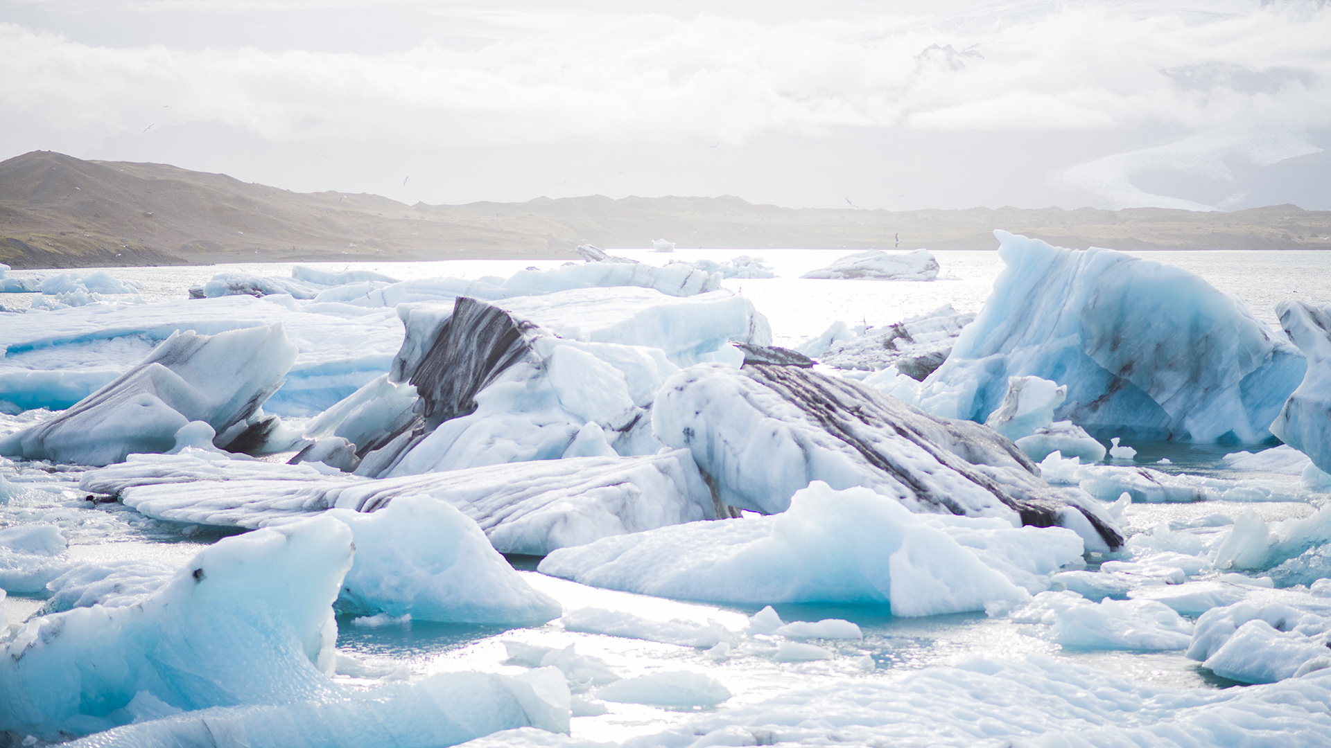 Ewiges Eis - Eisverluste am Rand können gesamte Antarktis erschüttern