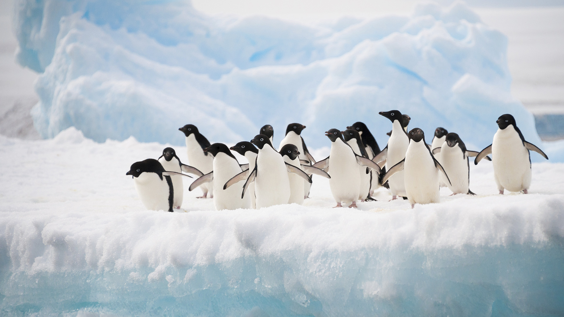 „Die unglaubliche Weite der Antarktis erweckt Demut und Begeisterung in mir“